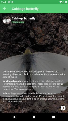 Butterflies of Canary Islands Screen 2
