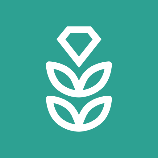 VPN Rice for Android TV