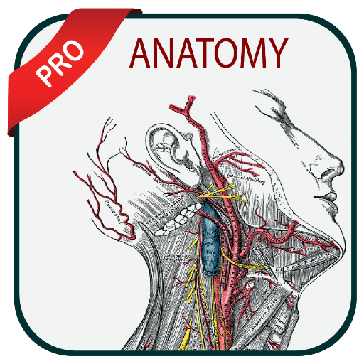 Gray's Atlas of Anatomy Pro 1.5 Icon