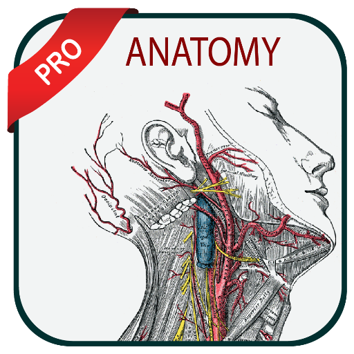 Grays Atlas of Anatomy Pro logo
