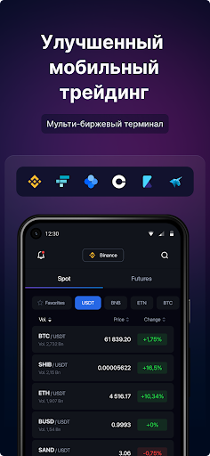 Предварительный просмотр приложения