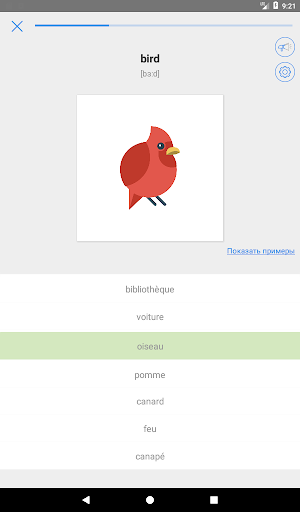 My Dictionary - polyglot (PRO) - Education - apps