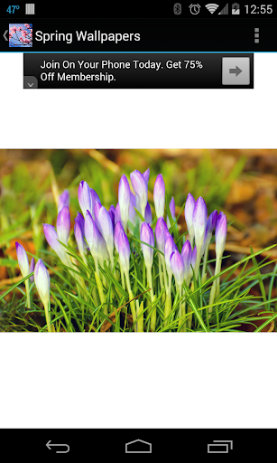 Spring Wallpapers Screenshot 2 - AppWisp.com