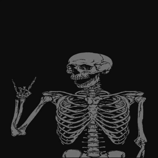 Skull Wallpaper Download on Windows