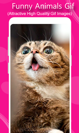 Android application Funny Animals Gif screenshort
