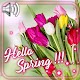 Greetings Spring Day Live Wallpaper Download on Windows