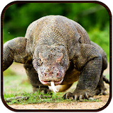 Komodo Dragon Lizard Rampage icon