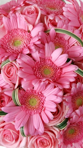 Крутые обои HD Wallpapers Screen 3