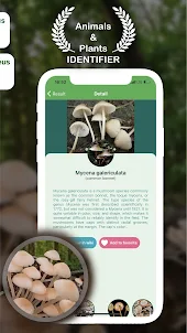 Animal & Plant ID - Nature ID