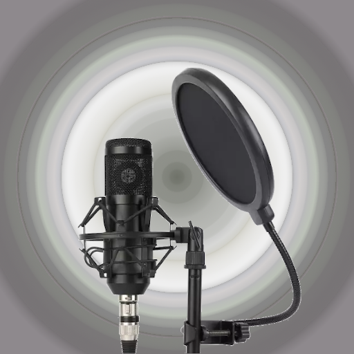 Rap Studio Microphone Kit Professional Music Sing Recording Equipment  Auto-Tune