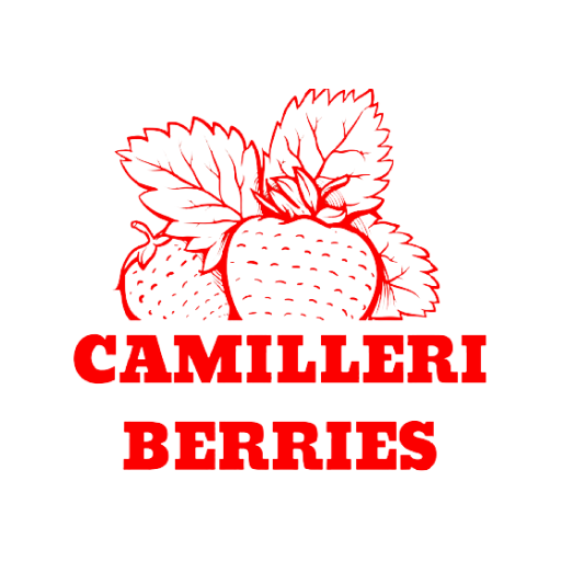 Camilleri Berries 1.0.0 Icon