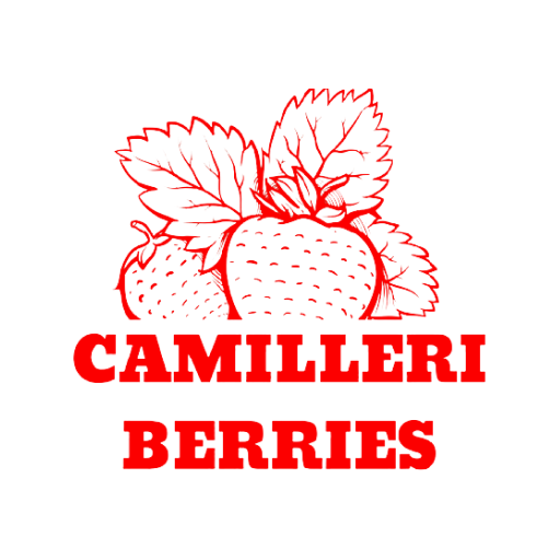 Camilleri Berries logo