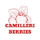 Camilleri Berries دانلود در ویندوز