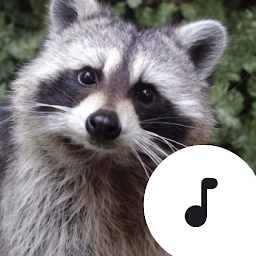 Icon image Raccoon Sounds