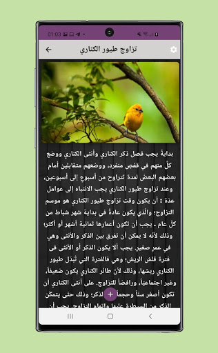 Visualização do aplicativo