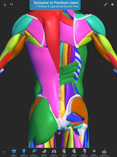 Screenshot of Visual Anatomy 3D - Human body