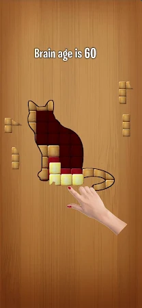 Game screenshot Big Big Block Blast! IQ Puzzle mod apk