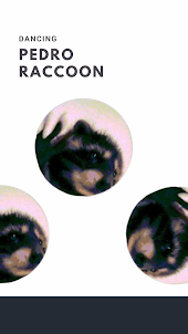 Pedro Raccoon Watch Face