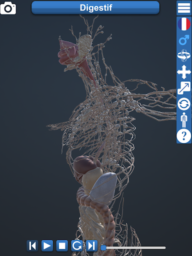 Anatomy 3D Screen 2