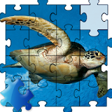Turtle Jigsaw Puzzle icon