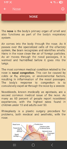 Human Anatomy and Physiology screenshot 7