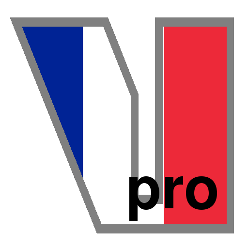 French Verbs Pro