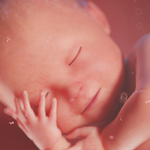 Cover Image of ดาวน์โหลด ติดตามการตั้งครรภ์ - Momly 2.0.3 APK
