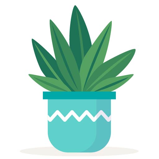 Мои растения. Выращиваем дома