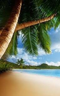 Tropical Beach Live Wallpaper For PC installation