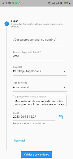 REPORTE ENCUBIERTO NOM 035 Screen 2