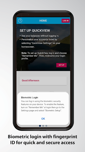 Envision Financial Screen 2