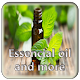 Essential oils guide Download on Windows