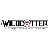 The Wildcatter icon