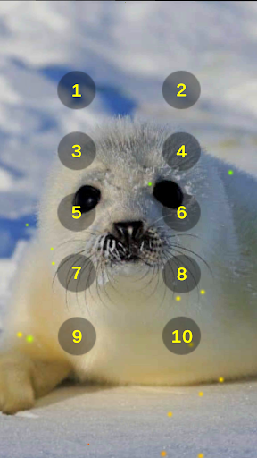 Seal And Sea Lion Sounds Screen 2