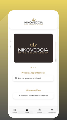 Niko Veccia Atelier Screen 2