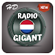 Radio Gigant FM App NL Holland Music Radios Download on Windows