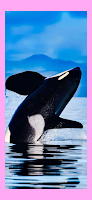 Orca Whale Wallpaper Live HD APK צילום מסך #14