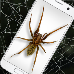 Icon image Spider in Phone Funny Joke