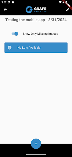 Grafe Auction Logistics Screen 3