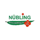 Nübling AG icon