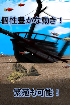 ＜熱帯魚＞smart AQUARIUM imagesのおすすめ画像4