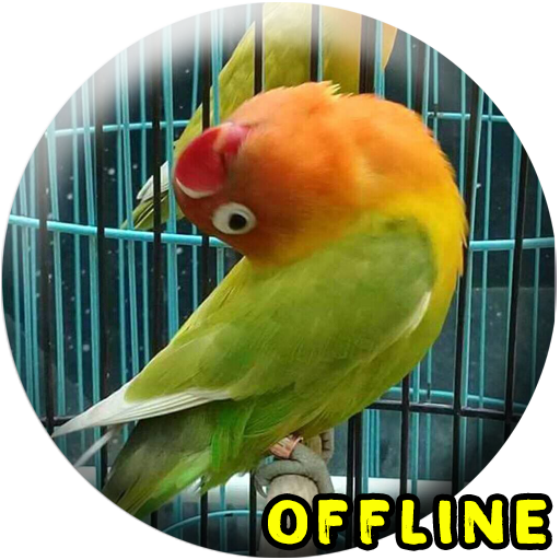 MP3 Lovebird Paud Offline - AppWisp.com