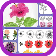Learn to Draw Flowers  Icon