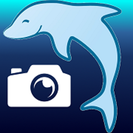 DENSfoto logo