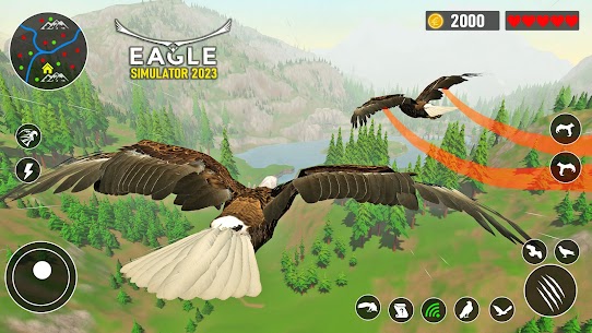 Eagle Simulator – Eagle Games 3