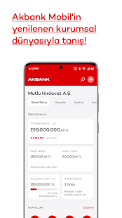 Akbank Screenshot