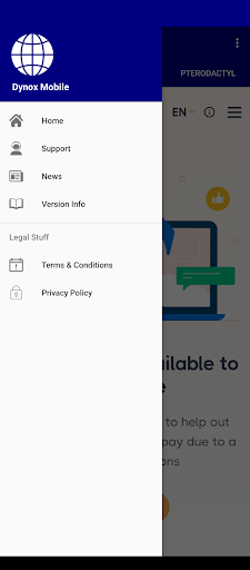 Dynox Mobile Screen 2