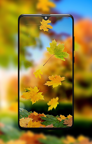 HD Autumn Wallpapers