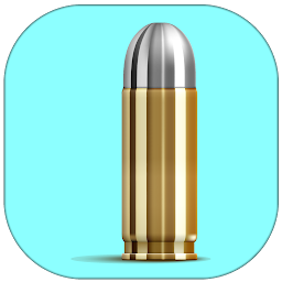 Bullet Runner