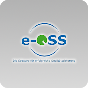 e-QSS ML  Icon